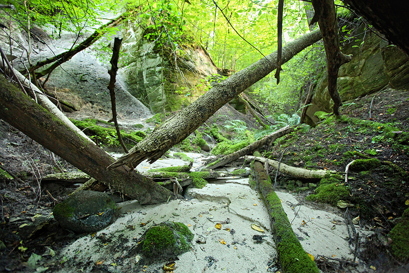 800x600_foto martins plume (139)